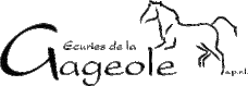 logo-vecto-petit_site